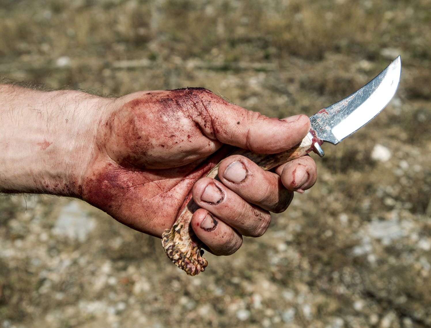 American_Hunting_44