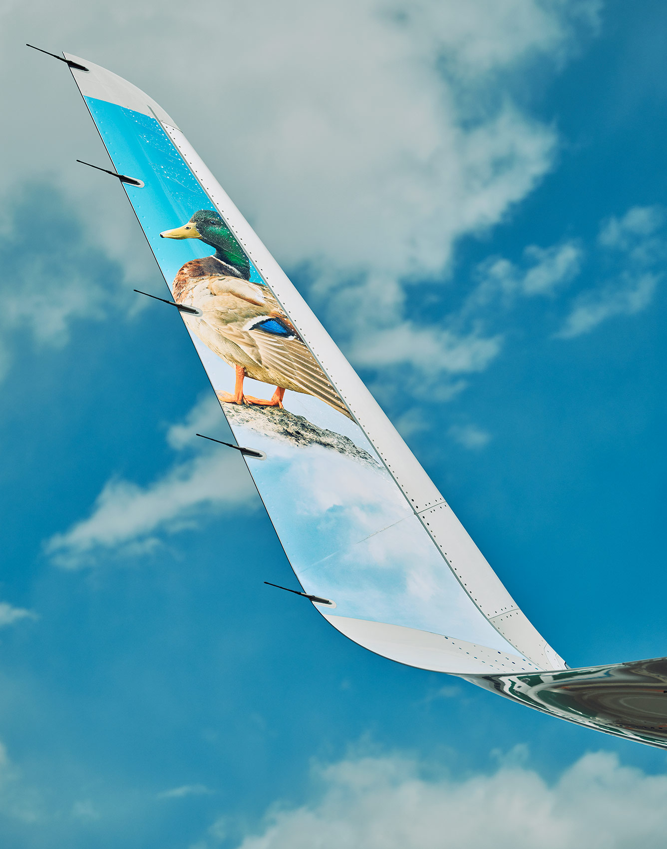 Frontier_Airlines_B084.JPG